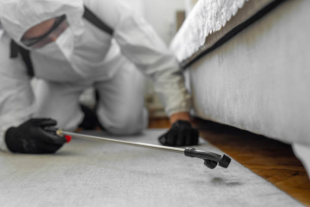 Professional Termite Control technician working in Colusa, CA
