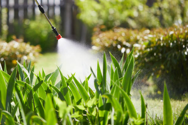 24/7 Emergency Termite Control experts in Colusa, CA